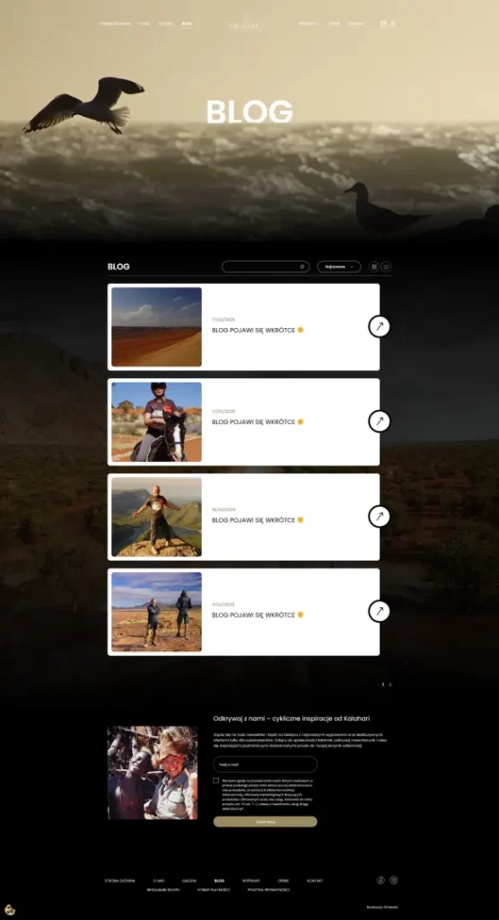 SP-Media Tworzenie stron www case study kalahari