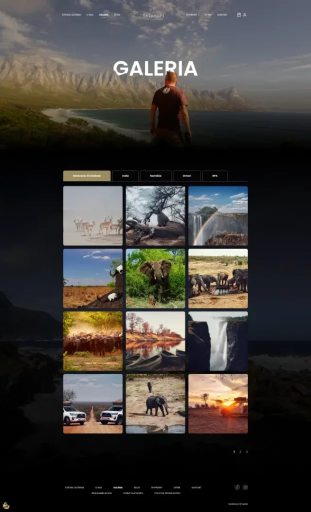 SP-Media Tworzenie stron www case study kalahari