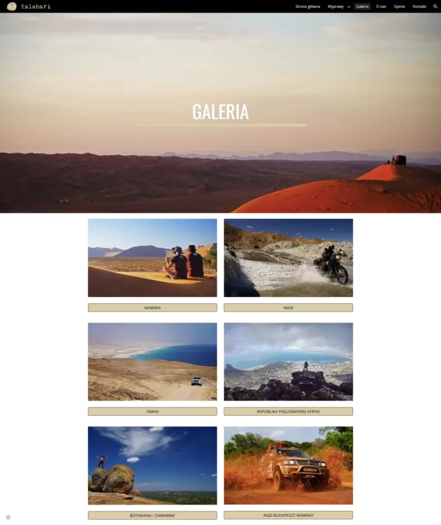 SP-Media Tworzenie stron www case study kalahari