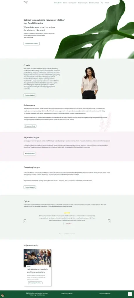 SP-Media Tworzenie stron www